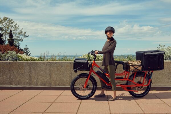 Radwagon electric best sale cargo bike review