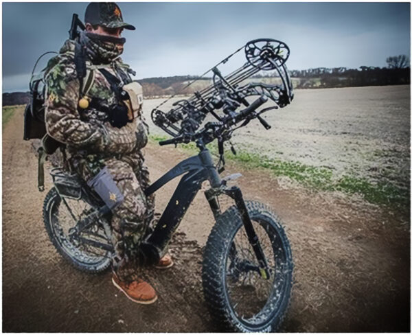 Quiet cat clearance bike reviews