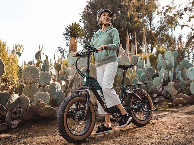 best electric bike for seniors