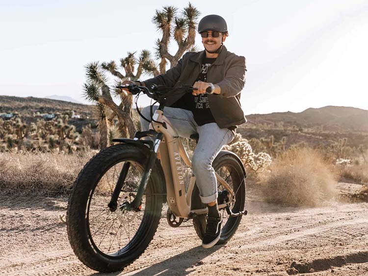 man riding fat-tire electric mountain bike