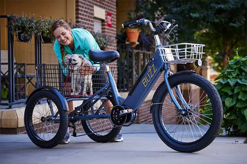 a woman holding a small dog inside a rear basket of a buzz cerana electric trike