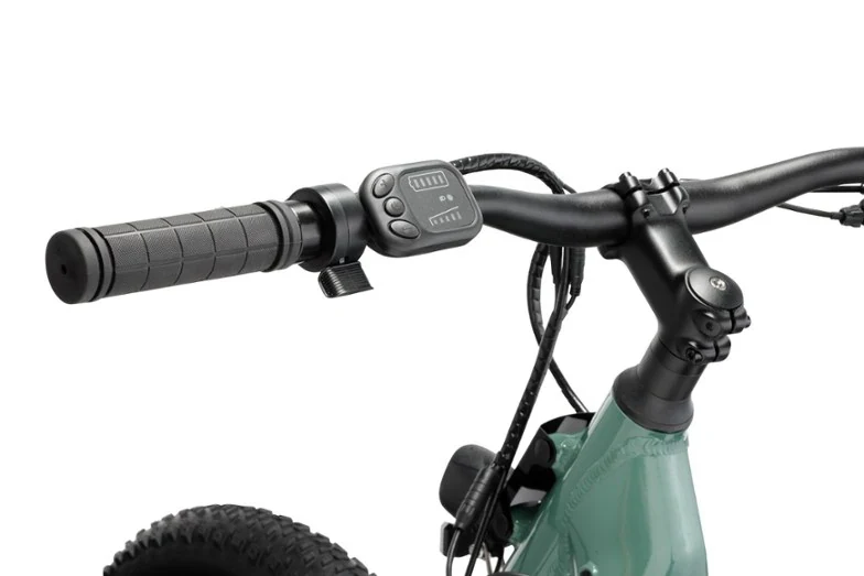 electric bike thumb throttle