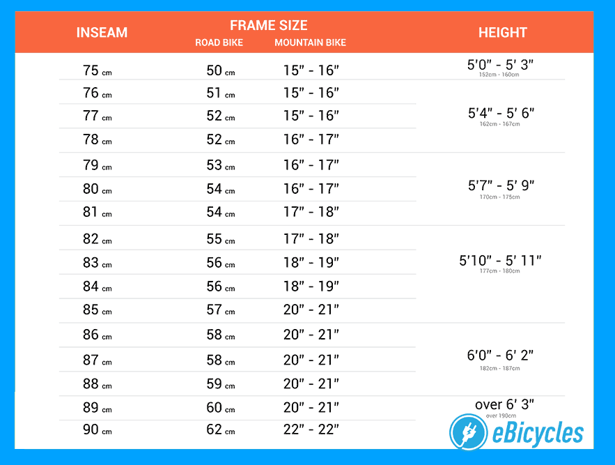 road and mtb bike size chart
